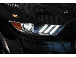 2022 Shelby GT500 (CC-2093497) for sale in Sneek, the Netherlands