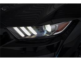 2022 Shelby GT500 (CC-2093497) for sale in Sneek, the Netherlands