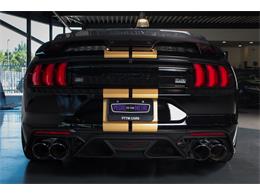 2022 Shelby GT500 (CC-2093497) for sale in Sneek, the Netherlands