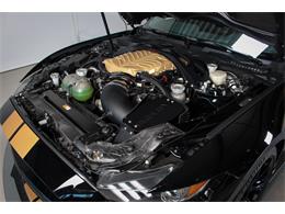 2022 Shelby GT500 (CC-2093497) for sale in Sneek, the Netherlands