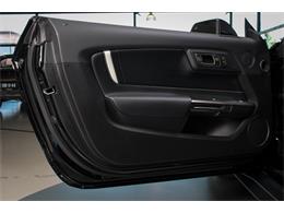 2022 Shelby GT500 (CC-2093497) for sale in Sneek, the Netherlands
