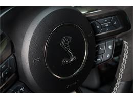 2022 Shelby GT500 (CC-2093497) for sale in Sneek, the Netherlands