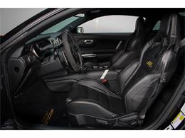 2022 Shelby GT500 (CC-2093497) for sale in Sneek, the Netherlands
