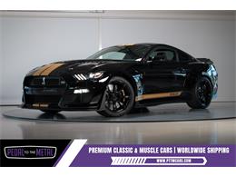 2022 Shelby GT500 (CC-2093497) for sale in Sneek, the Netherlands