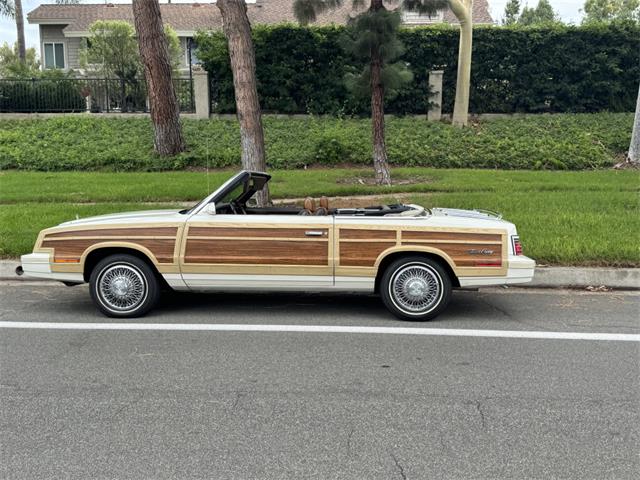 1984 Chrysler LeBaron (CC-2093533) for sale in Reno, Nevada