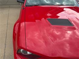 2007 Ford Shelby GT500  (CC-2093621) for sale in Orrville, Ohio