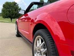 2007 Ford Shelby GT500  (CC-2093621) for sale in Orrville, Ohio