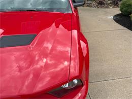 2007 Ford Shelby GT500  (CC-2093621) for sale in Orrville, Ohio