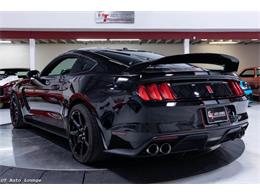 2017 Ford Mustang Shelby (CC-2093687) for sale in Rancho Cordova, California