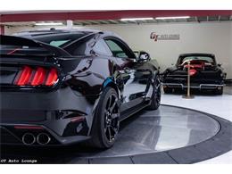 2017 Ford Mustang Shelby (CC-2093687) for sale in Rancho Cordova, California