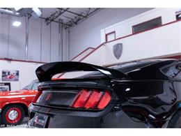2017 Ford Mustang Shelby (CC-2093687) for sale in Rancho Cordova, California
