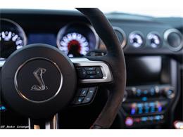 2017 Ford Mustang Shelby (CC-2093687) for sale in Rancho Cordova, California