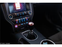 2017 Ford Mustang Shelby (CC-2093687) for sale in Rancho Cordova, California