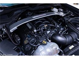 2017 Ford Mustang Shelby (CC-2093687) for sale in Rancho Cordova, California