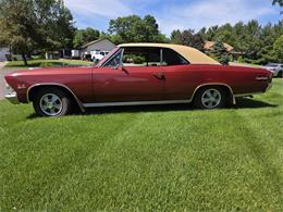 1966 Chevrolet Chevelle SS (CC-2093692) for sale in Waconia , Minnesota