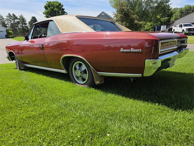 1966 Chevrolet Chevelle SS (CC-2093692) for sale in Waconia , Minnesota