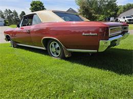 1966 Chevrolet Chevelle SS (CC-2093692) for sale in Waconia , Minnesota