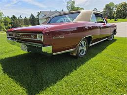 1966 Chevrolet Chevelle SS (CC-2093692) for sale in Waconia , Minnesota
