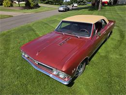 1966 Chevrolet Chevelle SS (CC-2093692) for sale in Waconia , Minnesota