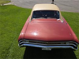 1966 Chevrolet Chevelle SS (CC-2093692) for sale in Waconia , Minnesota