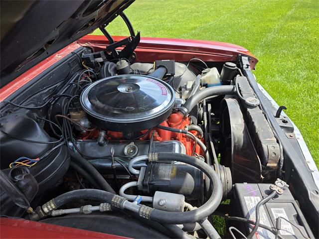 1966 Chevrolet Chevelle SS (CC-2093692) for sale in Waconia , Minnesota