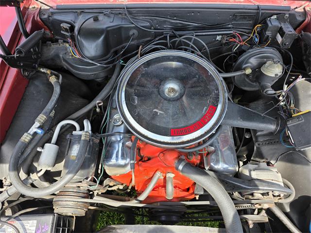 1966 Chevrolet Chevelle SS (CC-2093692) for sale in Waconia , Minnesota