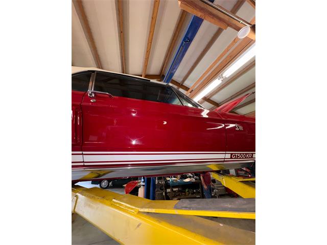 1968 Shelby Mustang (CC-2093696) for sale in Johnson City, Tennessee