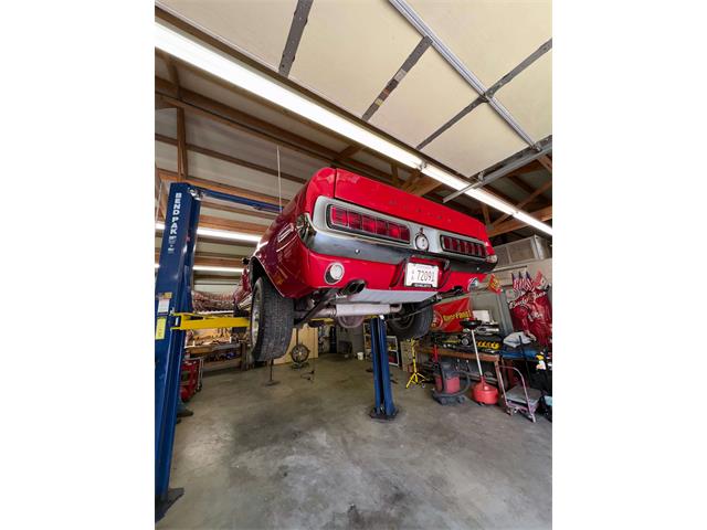 1968 Shelby Mustang (CC-2093696) for sale in Johnson City, Tennessee