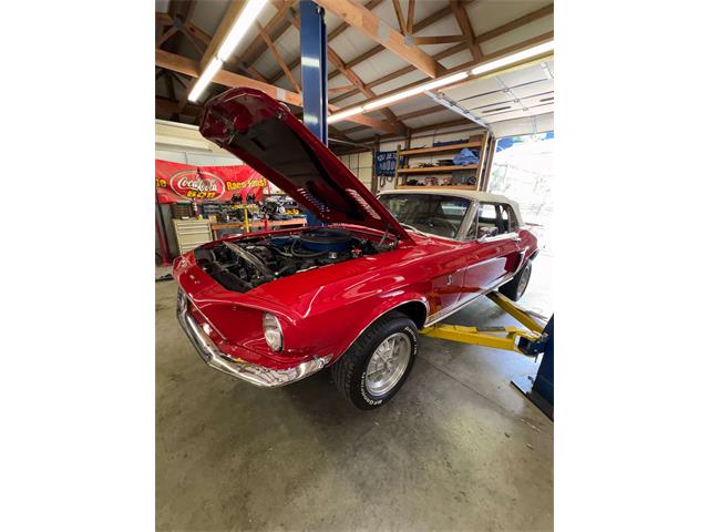 1968 Shelby Mustang (CC-2093696) for sale in Johnson City, Tennessee