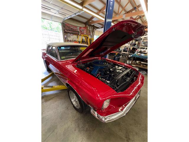 1968 Shelby Mustang (CC-2093696) for sale in Johnson City, Tennessee