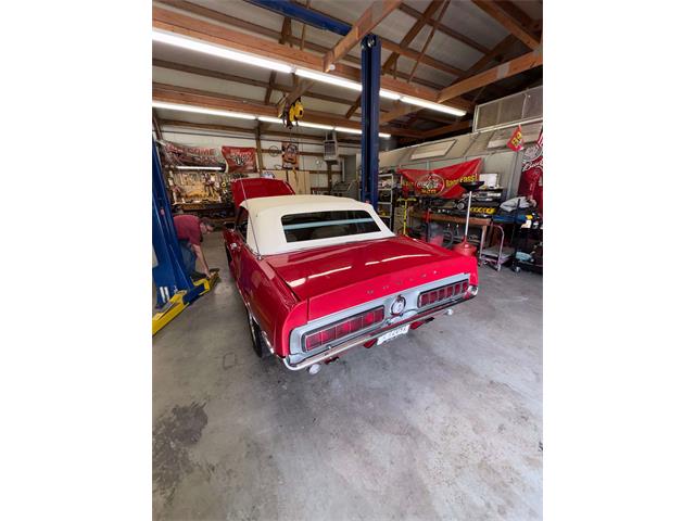 1968 Shelby Mustang (CC-2093696) for sale in Johnson City, Tennessee