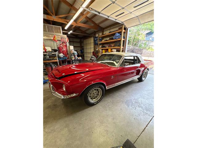 1968 Shelby Mustang (CC-2093696) for sale in Johnson City, Tennessee