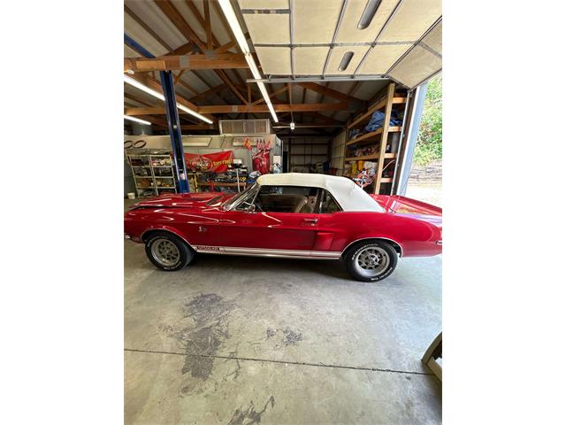 1968 Shelby Mustang (CC-2093696) for sale in Johnson City, Tennessee
