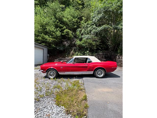 1968 Shelby Mustang (CC-2093696) for sale in Johnson City, Tennessee
