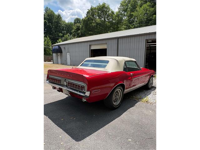 1968 Shelby Mustang (CC-2093696) for sale in Johnson City, Tennessee