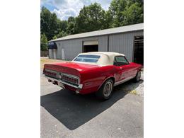 1968 Shelby Mustang (CC-2093696) for sale in Johnson City, Tennessee