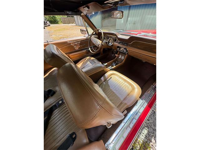 1968 Shelby Mustang (CC-2093696) for sale in Johnson City, Tennessee