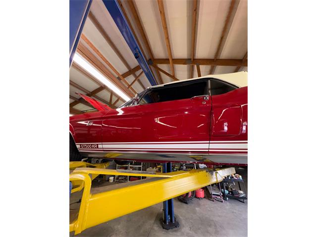 1968 Shelby Mustang (CC-2093696) for sale in Johnson City, Tennessee