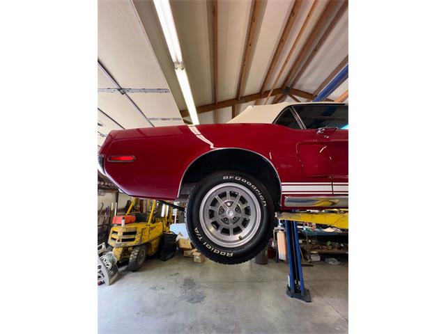 1968 Shelby Mustang (CC-2093696) for sale in Johnson City, Tennessee