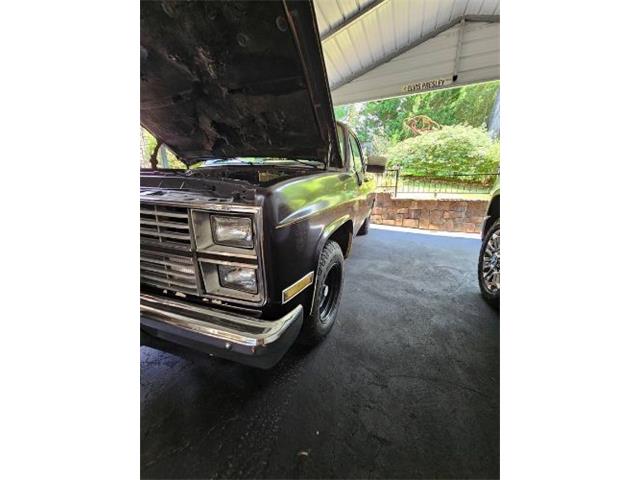 1984 Chevrolet Silverado (CC-2090037) for sale in Cadillac, Michigan