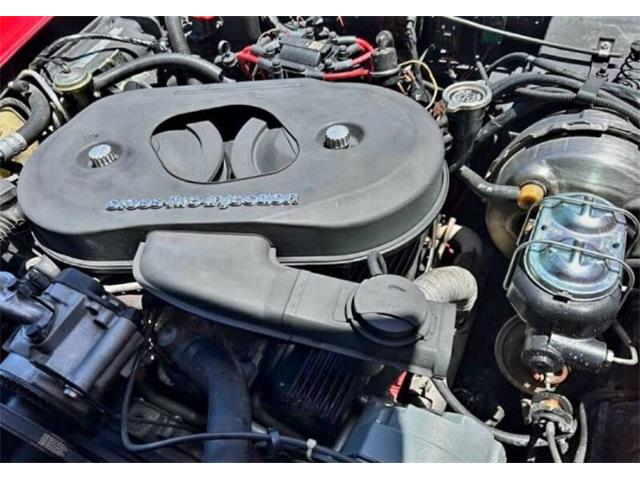 1982 Chevrolet Corvette (CC-2093769) for sale in Cadillac, Michigan