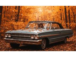 1964 Ford Galaxie 500 (CC-2093775) for sale in Cadillac, Michigan