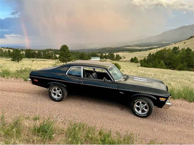 1974 Chevrolet Nova SS (CC-2090381) for sale in Cadillac, Michigan