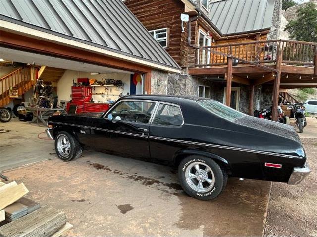 1974 Chevrolet Nova SS (CC-2090381) for sale in Cadillac, Michigan