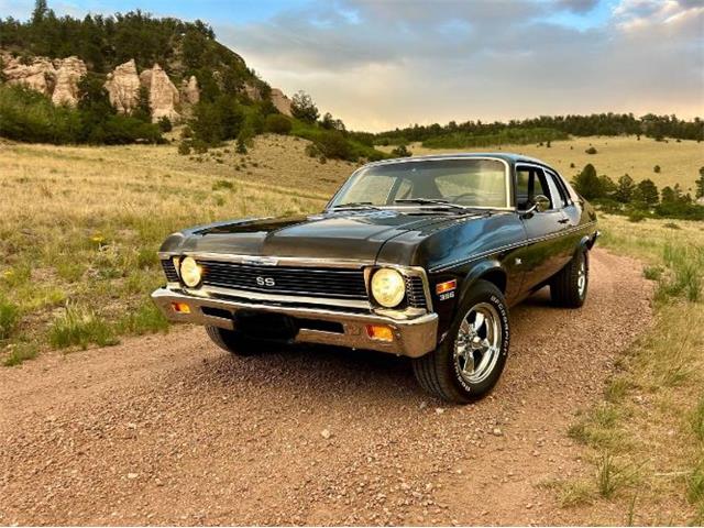 1974 Chevrolet Nova SS (CC-2090381) for sale in Cadillac, Michigan