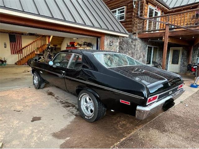 1974 Chevrolet Nova SS (CC-2090381) for sale in Cadillac, Michigan