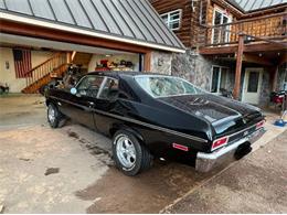 1974 Chevrolet Nova SS (CC-2090381) for sale in Cadillac, Michigan