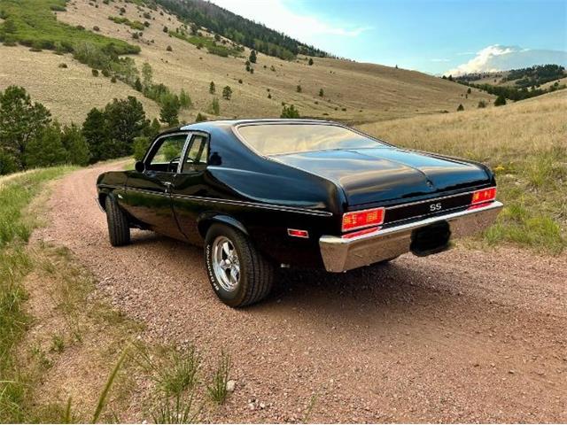 1974 Chevrolet Nova SS (CC-2090381) for sale in Cadillac, Michigan