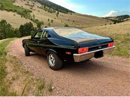 1974 Chevrolet Nova SS (CC-2090381) for sale in Cadillac, Michigan