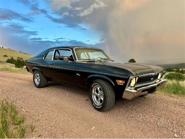 1974 Chevrolet Nova SS (CC-2090381) for sale in Cadillac, Michigan